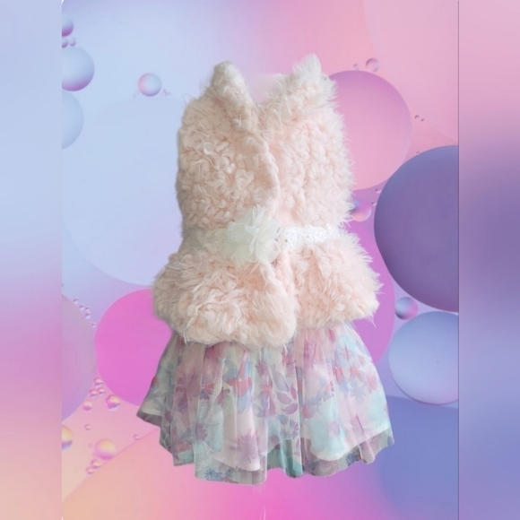 TUTU and Vest Bundle - Picture 1 of 13